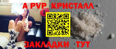МДПВ Кингисепп