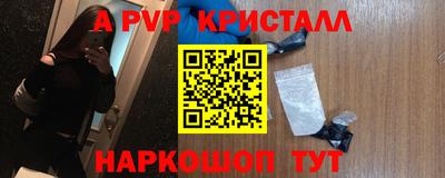 МДПВ Кингисепп