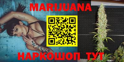 МДПВ Кингисепп