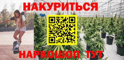 МДПВ Кингисепп