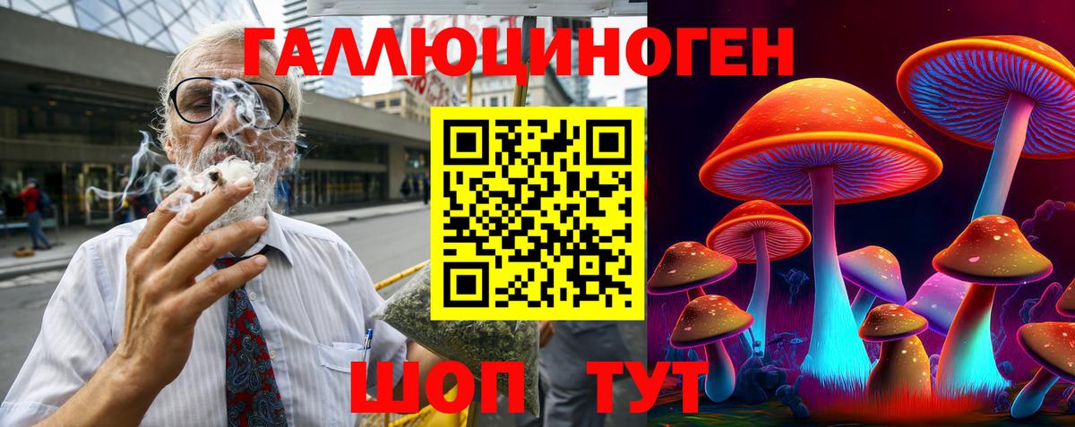 Знаменск  Псилоцибиновые грибы GOLDEN TEACHER  Псилоцибиновые грибы Psilocybe  Вход с VPN 
